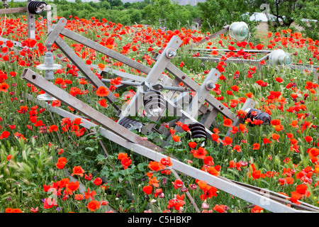 Poppys Grwoing durch eine verlassene elektrische Pylon in La Calahorra, Andalusien, Spanien. Stockfoto