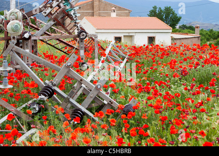 Poppys Grwoing durch eine verlassene elektrische Pylon in La Calahorra, Andalusien, Spanien. Stockfoto