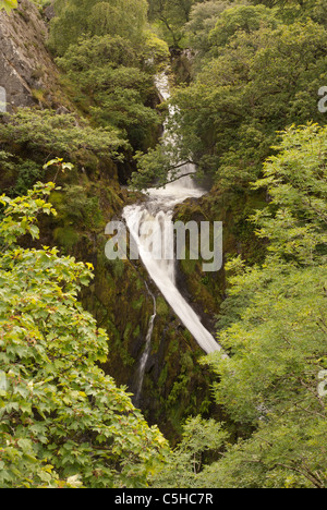 Ceunant Mawr Wasserfall, Llanberis, Snowdonia National Park, North Wales, UK Stockfoto