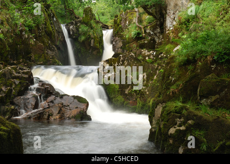 Wasserfall und Stromschnellen auf Afon Goedol, in der Nähe von Rhyd y Sarn, Snowdonia, North Wales, UK Stockfoto