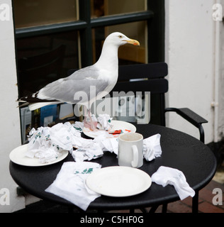 Eine Möwe, die Kommissionierung über Reste hinterlassen ein außen Café-Tisch in Brighton, Sussex Stockfoto