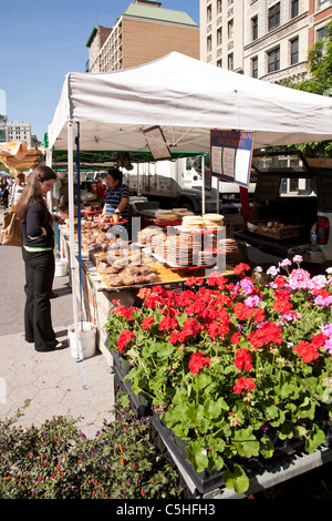 Blume und Imbissbuden, Union Square Greenmarket, NYC Stockfoto