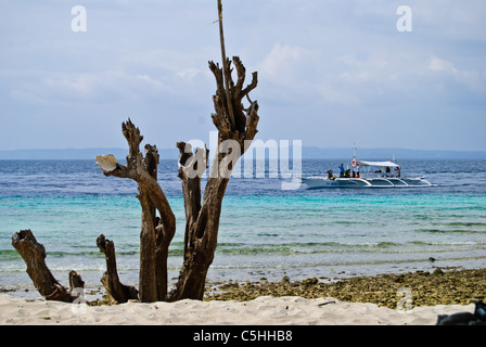 Blick vom Pamilacan Island, Bohol, Philippinen Stockfoto