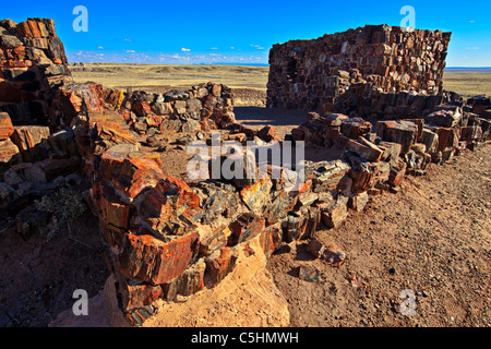 Versteinerte Forest National Park, Arizona, USA Stockfoto