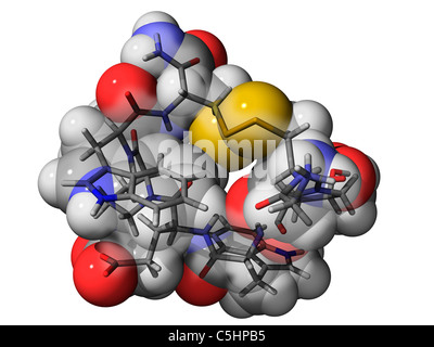 Kegel-Schnecke-Venom-Komponente-Molekül Stockfoto