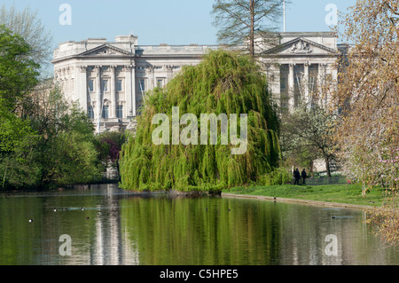 Buckinghampalast vom See in St James Park gesehen. London. Stockfoto