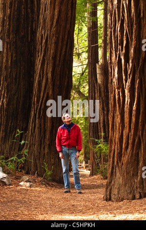 Wanderer auf den Pfeiffer Falls trail, Pfeiffer Big Sur State Park, Big Sur, Kalifornien Stockfoto