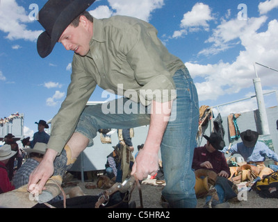 Beim Tucson Rodeo erhalten Fahrer für den Wettbewerb gerüstet Aufwärmen... ihre Pferde in Tucson, Arizona. Für den redaktionellen Gebrauch Stockfoto