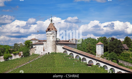 Blick auf berühmte Munot Fortifiction. Schaffhausen, Schweiz. Stockfoto