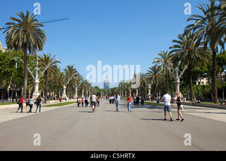 Barcelona-Stadtpark mit Fußgängern und Fahrrädern. Parc De La Ciutadella. Sommererholung und Spaß im Freien und Spaziergang. Stockfoto