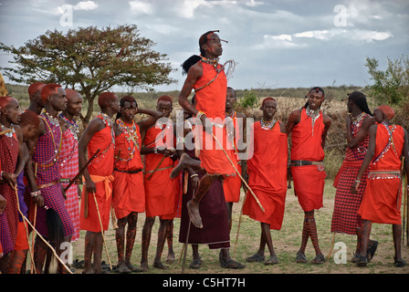 Tanzen Sie Masai Männer, tun ein springen, tragen traditionelle Kleidung in einem Dorf in der Masai Mara, Kenia, Afrika Stockfoto