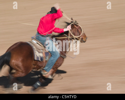 Rodeo-Konkurrenten führen beim Rodeo Tucson in Tucson, Arizona. .. Für redaktionelle Verwendung nur die Berechtigung von Pro Rodeo Cowboy s Stockfoto