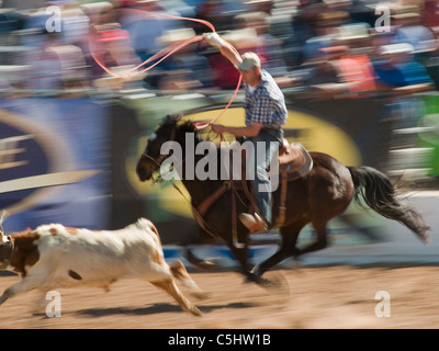 Rodeo-Konkurrenten führen beim Rodeo Tucson in Tucson, Arizona... Für redaktionelle Verwendung nur die Berechtigung von Pro Rodeo Cowboy s Stockfoto