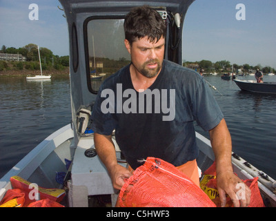 Quahoger (Shellfisherman) David Middleton an Arbeit Rechen für Muscheln in Narragansett Bay aus Rhode Island (Model Release) Stockfoto