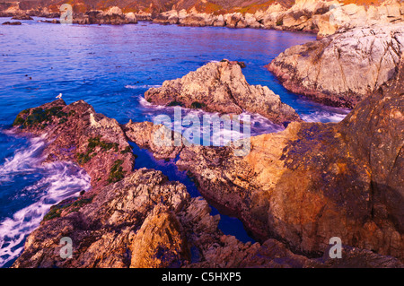 Felsenküste Soberanes Point, Garrapata State Park, Big Sur, Kalifornien Stockfoto