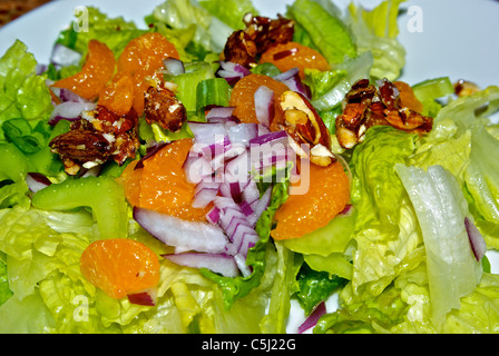 Gemischter Salat kandierten Pekannüsse lila Zwiebelwürfeln Dosen Mandarin Orange Segmente Römersalat Stockfoto