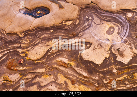 Rock-Muster auf Weston, Point Lobos State Reserve, Carmel, Kalifornien Stockfoto