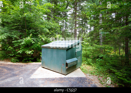 Tier, Bär Beweis Müllcontainer Stockfoto