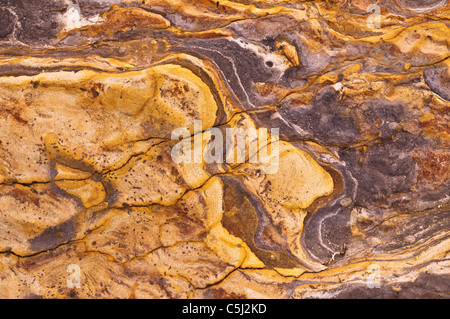 Rock-Muster auf Weston, Point Lobos State Reserve, Carmel, Kalifornien Stockfoto