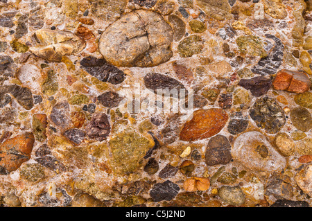 Rock-Muster auf Weston, Point Lobos State Reserve, Carmel, Kalifornien Stockfoto