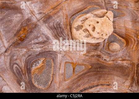 Rock-Muster auf Weston, Point Lobos State Reserve, Carmel, Kalifornien Stockfoto