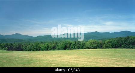 Grossfeld, Baumgrenze mit einer Bergkette im Hintergrund Stockfoto