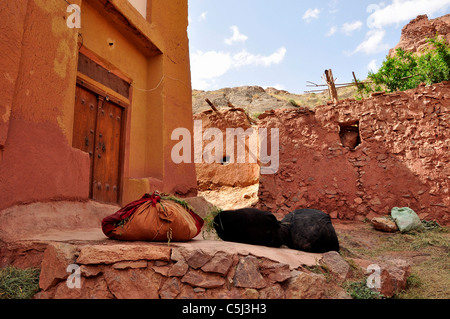 Bündel von Stroh und Luzerne für die Fütterung der Tiere vor einem alten Haus in Abyāneh Dorf, Isfahan Iran. Stockfoto