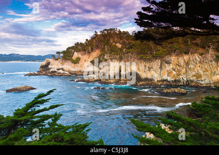 Felswand entlang der Cypress Grove Trail, Point Lobos State Reserve, Carmel, Kalifornien Stockfoto