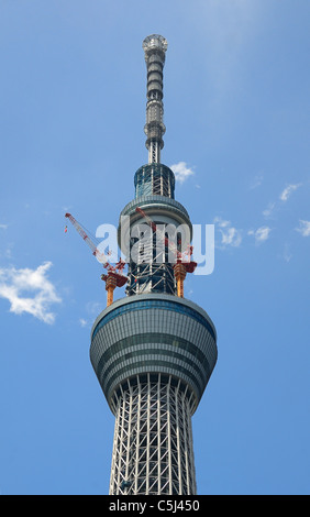 Tokyo Sky Tree im Bau in Tokio, Japan. Stockfoto