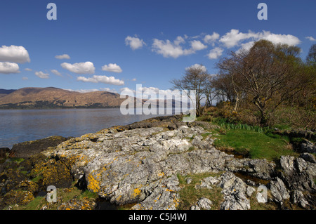 Einen schönen herbstlichen Tag entlang Loch Linnhe in der Nähe von Fort William mit der fernen Ardgour Hügel, Lochaber, schottischen Highlands, UK. Stockfoto