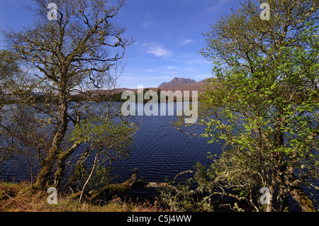 Fernblick zwischen Bäumen im zeitigen Frühjahr des Gebirges Ben mehr Coigach gesehen über Drumrunie Loch, Sutherland, Stockfoto