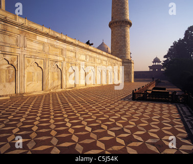 Am frühen Morgen auf der erhöhten Terrasse des Taj Mahal mit schönen Fliesenboden und geschnitzten Marmorwand; ein sauberer macht seine Stockfoto