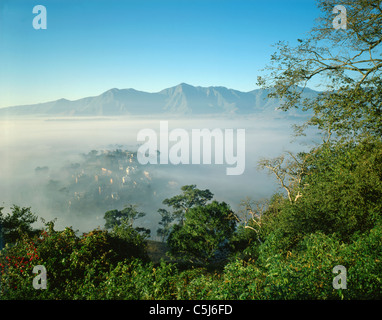 Frühen Morgennebel über einen Teil der Nord-Kathmandu und das Kathmandu-Tal, gesehen durch die Bäume von Swayambunath, Kathmandu, Stockfoto