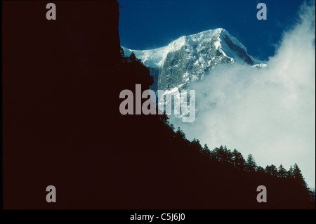 Der Gipfel des Annapurna III erhebt sich über Morgendunst eingerahmt von bewaldeten Steilküste, Manang Region, Annapurna Himal, Nepal Stockfoto