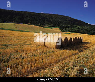 Rundballen Stroh-in einem Feld nach der Ernte niedrige dunklen Hügel hinter, in Ottadale, Norwegen Stockfoto