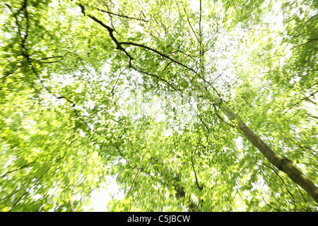 Gefleckte Sonnenlicht shinning durch die englische Landschaft. Stockfoto