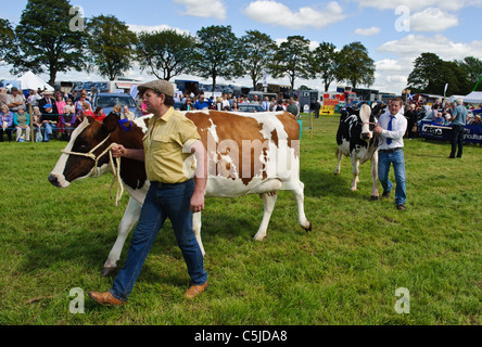 Lokalen Agrarmesse jährlich in die Stadt BIGGAR in South Lanarkshire, Schottland. Stockfoto