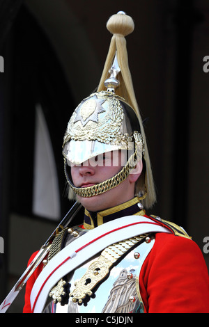 Königinnenwache Leben am Eingang, Whitehall, Horse Guards Parade, Westminster, London, England Stockfoto