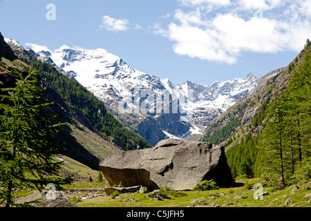 Ein großer Findling teilweise behindern die Valnontey Tal (Italien). Jumbo Bloc Findling Obstruant En Partie la Vallée alpine Stockfoto