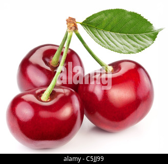 Drei perfekte Süßkirschen mit dem Blatt isoliert auf einem weißen Hintergrund. Stockfoto