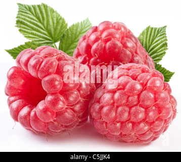 Drei perfekte reife Himbeeren mit Blättern. Isoliert auf weißem Hintergrund. Stockfoto