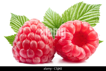 Zwei perfekte Himbeeren mit Blättern. Isoliert auf weißem Hintergrund. Stockfoto