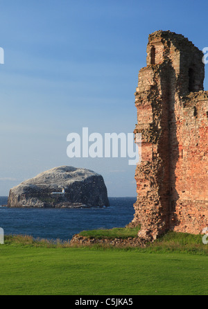 Tantallon Castle und Bass Rock Stockfoto