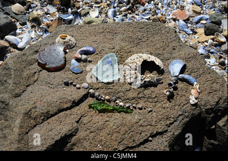 Ein Zeichen für den Strand aus Muscheln hergestellt und verschiedenster Glas am Strand gefunden. Stockfoto