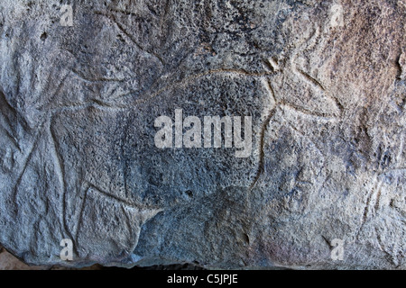 Aserbaidschan - Qobustan - alte Stein geschnitzt Petroglyph zeigt eine Kuh Stockfoto