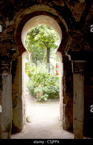 Arabische Bäder in Mallorca alte Stadt von Barrio Calatrava Los Patios in Palma De Mallorca Stockfoto