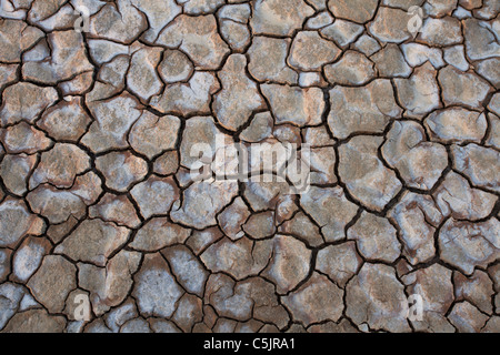 Trockenen Seegrund, Anza-Borrego Desert State Park, Kalifornien. Stockfoto