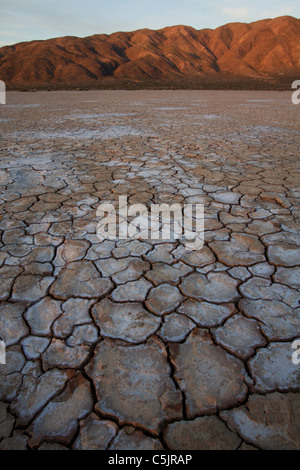 Trockenen Seegrund, Anza-Borrego Desert State Park, Kalifornien. Stockfoto