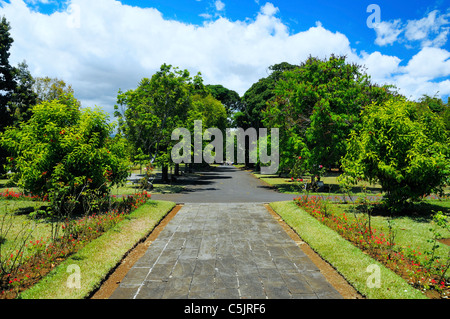 Gasse im Vorfeld Chateau de Mon Plaisir in Sir Seewoosagur Ramgoolam Botanic Garden Pamplemousses, Mauritius. Stockfoto