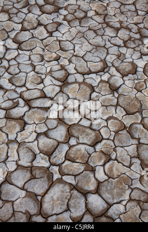 Schlamm Risse in einem ausgetrockneten Sees Bett, Anza-Borrego Desert State Park, Kalifornien. Stockfoto